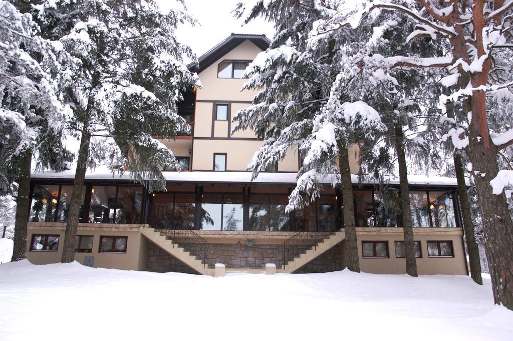 Vila Pina Zlatibor Exteriér fotografie