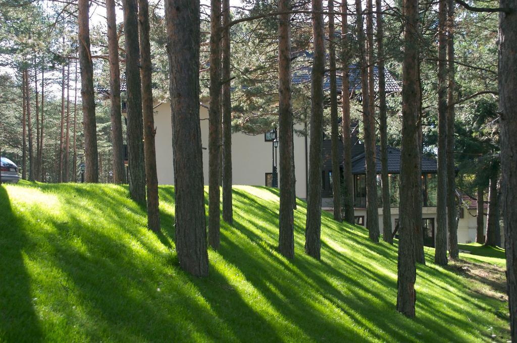 Vila Pina Zlatibor Exteriér fotografie